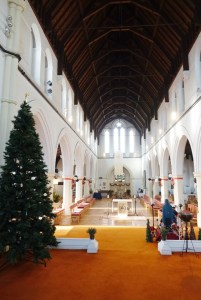 bush_hill_park_st_mark230116_27