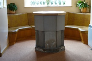 carshalton_beeches_good_shepherd050314_22