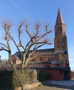 battersea_sacred_heart_rc170117_47