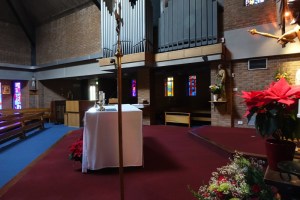 wimbledon_common_our_lady_st_peter_rc170117_18