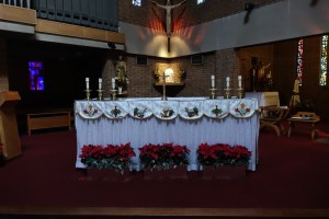 wimbledon_common_our_lady_st_peter_rc170117_21