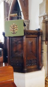 hayes_st_mary200217_44